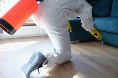 Commercial Fumigation in Winston Salem, NC