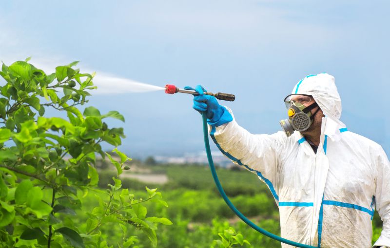 Pest Fumigation Service in Myrtle Beach, SC