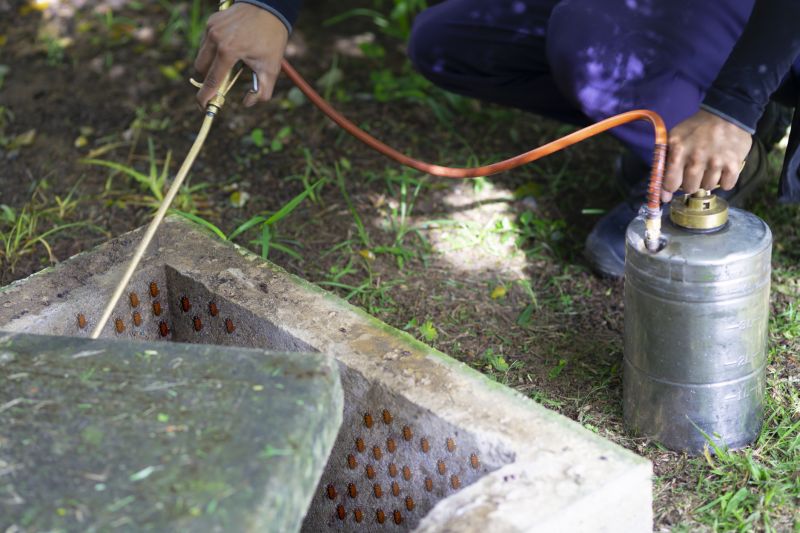 Spider Fumigation Service in Marietta, GA
