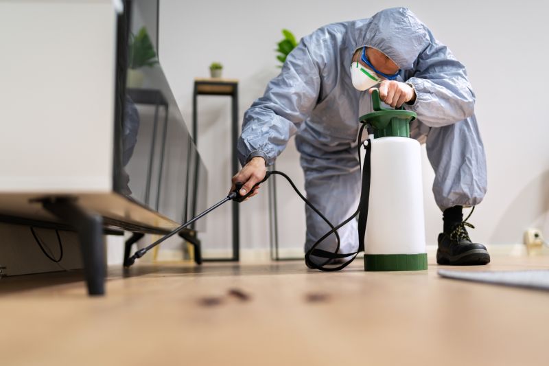 Spider Fumigation Service in Bellingham, WA