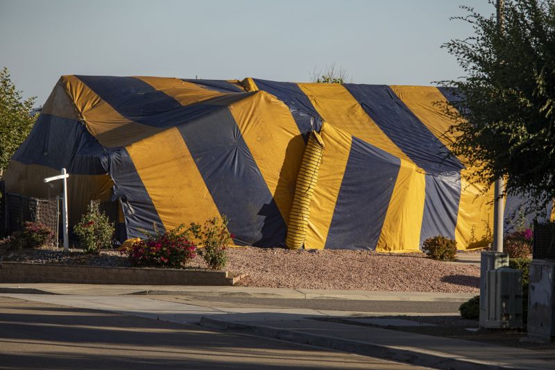 Termite Tenting in Coeur D Alene, ID